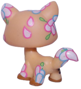 #1582 Destiny Cat